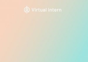 Virtual student online work experience